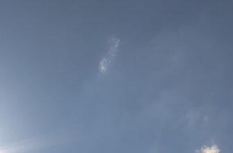 sobrat sol airdrop na blast