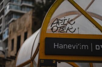 stejkat avax na lido bez zamorozki