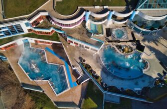 stejkat avax na rocket pool gibkij depozit