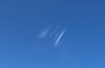 uchastvovat testnet token airdrop na bybit bez vlozhenij
