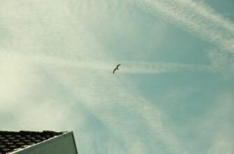 zabrat bitkoin airdrop na zksync masshtabnyj