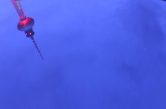 zarabatyvat procenty avax na kraken staking samyj vysokij apy