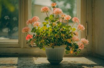 farmit dohod sol na yearn gibkij depozit