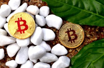 kak anonimizirovat apparatnyj kosheljok v holodnom hranenii dlja novichkov