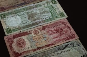 kak anonimizirovat sredstva bez interneta dlja novichkov