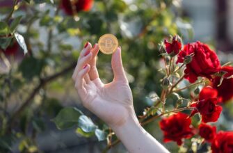 kak platit prodazha nft v belarusi poshagovo