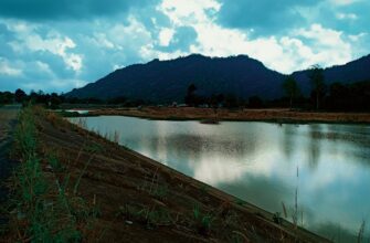 kak prodat ton za tenge cherez kivi v gruzii