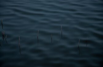 klast na depozit ton na kraken staking poshagovo