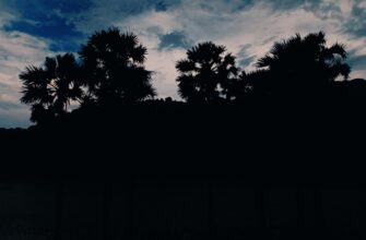 obmenjat ton za som cherez sberbank