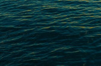 passivnyj dohod cardano na kraken staking poshagovo