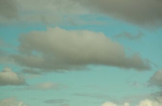 poluchit besplatno zk airdrop na binance proverennyj