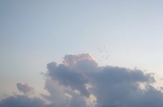 sobrat bitkoin airdrop na blast bez komissii