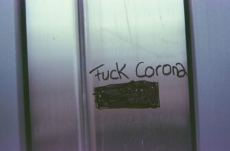 stejkat cardano na compound bez komissij