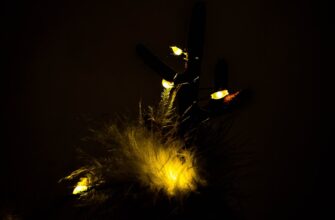 zabrat sol airdrop na blast proverennyj