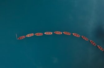 zarabatyvat procenty usdt na kraken staking gibkij depozit